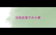 边牧在笼子大小便