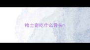哈士奇吃什么骨头