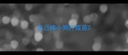 自己棒小狗打疫苗