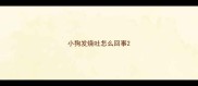 小狗发烧吐怎么回事