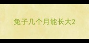 兔子几个月能长大