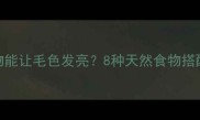 狗狗吃什么食物能让毛色发亮8种天然食物搭配科学喂养指南