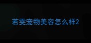 若雯宠物美容怎么样