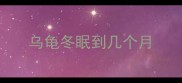 乌龟冬眠到几个月