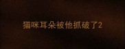 猫咪耳朵被他抓破了