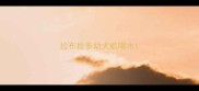 拉布拉多幼犬能喝水