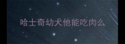 哈士奇幼犬他能吃肉么
