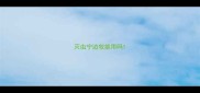 灭虫宁边牧能用吗
