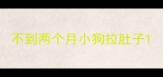 不到两个月小狗拉肚子