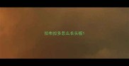 拉布拉多怎么长头板