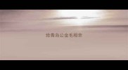 给青岛公金毛相亲