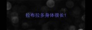 拉布拉多身体很长