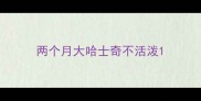 两个月大哈士奇不活泼