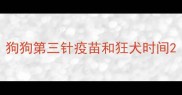 狗狗第三针疫苗和狂犬时间
