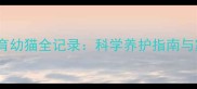 猫咪互助养育幼猫全记录科学养护指南与家庭群养灵感