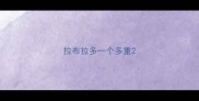 拉布拉多一个多重