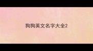 狗狗英文名字大全