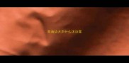 泰迪幼犬用什么沐浴露