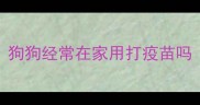 狗狗经常在家用打疫苗吗