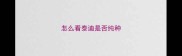 怎么看泰迪是否纯种