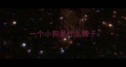 一个小狗是什么牌子