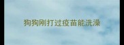 狗狗刚打过疫苗能洗澡