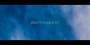 边牧4个月训练项目