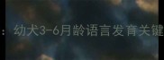 比特犬开口时间表幼犬3-6月龄语言发育关键期及科学喂养指南
