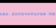 猫咪肥厚型心肌病全症状识别与科学治疗指南附家养护理技巧