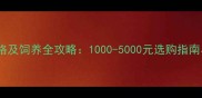 茶杯泰迪价格及饲养全攻略1000-5000元选购指南与养护秘籍