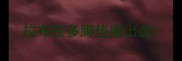拉布拉多脚垫磨出血