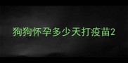狗狗怀孕多少天打疫苗