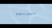 泰迪吃什么能流产