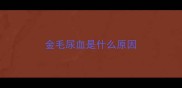 金毛尿血是什么原因