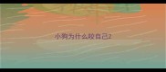 小狗为什么咬自己