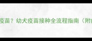 30天完成全部疫苗幼犬疫苗接种全流程指南附疫苗时间表