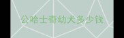 公哈士奇幼犬多少钱