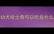 幼犬哈士奇可以吃些什么