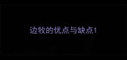 边牧的优点与缺点