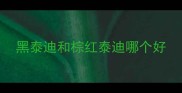 黑泰迪和棕红泰迪哪个好