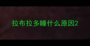 拉布拉多睡什么原因