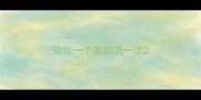 边牧一个星期洗一次