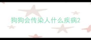 狗狗会传染人什么疾病