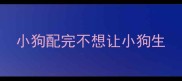 小狗配完不想让小狗生