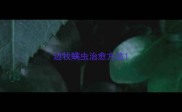 边牧螨虫治愈方法