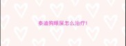 泰迪狗眼屎怎么治疗