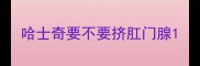 哈士奇要不要挤肛门腺
