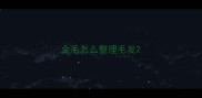 金毛怎么整理毛发