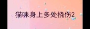 猫咪身上多处挠伤
