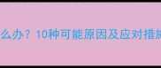 狗狗突然没精神怎么办10种可能原因及应对措施养宠人必看